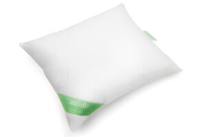 Castella Duvet Doré 100% ganzendons