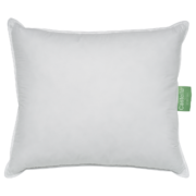 eendenveren-eendendons_puntkussen_2_1_3