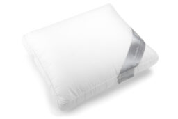 Vandyck boxkussen 90% ganzendons