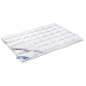 Vandyck DUO blauw label ganzendons dekbed