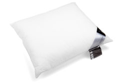 Vandyck drie kamer hoofdkussen