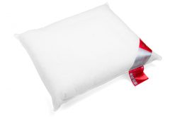 Vandyck 'rood label' hoofdkussen