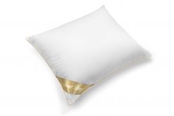 Castella Duvet Doré 100% ganzendons