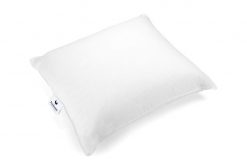 Driekamer eendendons kussen