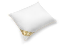 Combo Deal: Duvet doré 100% ganzendons